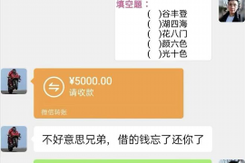 肇庆为什么选择专业追讨公司来处理您的债务纠纷？